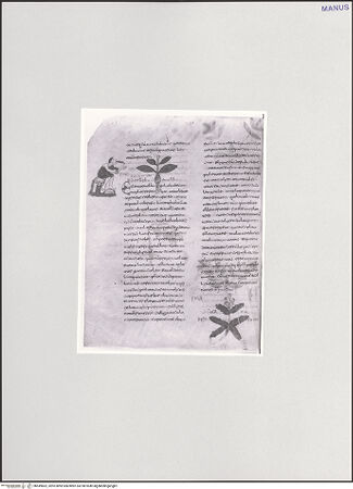 Vorderseite von bh549862_recto