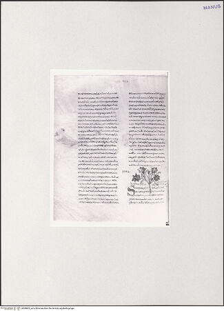 Vorderseite von bh549863_recto