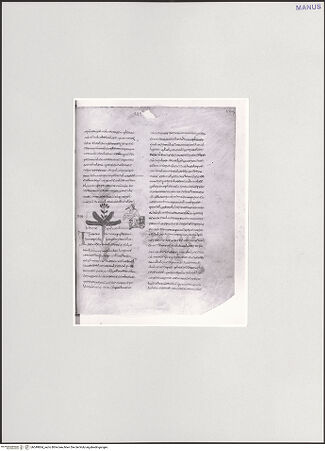 Vorderseite von bh549864_recto