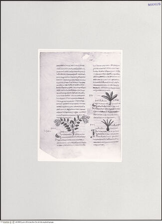 Vorderseite von bh549865_recto