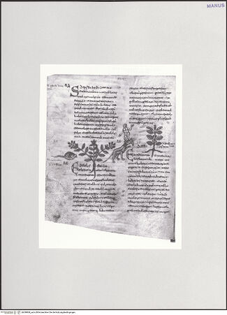 Vorderseite von bh549868_recto