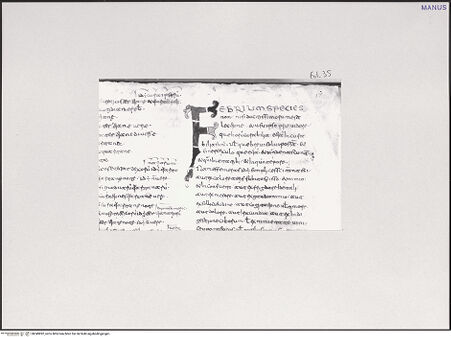 Vorderseite von unbekannt [https://www.deutsche-digitale-bibliothek.de/content/lizenzen/rv-fz/] Varia medica (Herbarium, Herbarium Apuleii Platonici, De herbarum virtutibus)F-Initiale - Gesamtansicht, bh549892_recto. Foto.