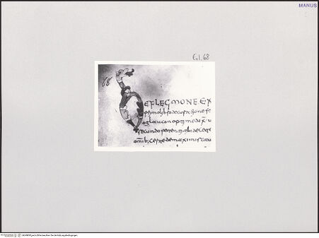 Vorderseite von unbekannt [https://www.deutsche-digitale-bibliothek.de/content/lizenzen/rv-fz/] Varia medica (Herbarium, Herbarium Apuleii Platonici, De herbarum virtutibus)Initiale - Gesamtansicht, bh549893_recto. Foto.