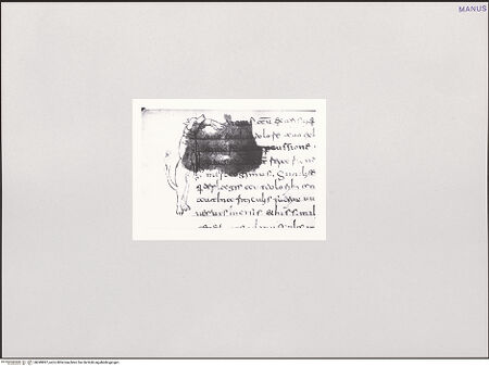 Vorderseite von unbekannt [https://www.deutsche-digitale-bibliothek.de/content/lizenzen/rv-fz/] Varia medica (Herbarium, Herbarium Apuleii Platonici, De herbarum virtutibus)Initiale mit Hund - Gesamtansicht, bh549897_recto. Foto.