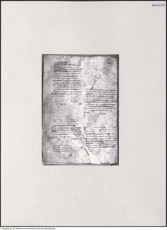 Vorderseite von unbekannt [https://www.deutsche-digitale-bibliothek.de/content/lizenzen/rv-fz/] Varia medica (Herbarium, Herbarium Apuleii Platonici, De herbarum virtutibus)Tierdarstellungen - Gesamtansicht, bh549898_recto. Foto.