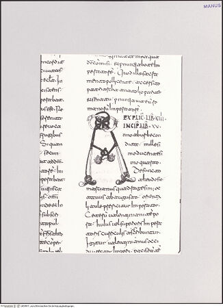 Vorderseite von bh549911_recto