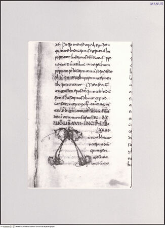 Vorderseite von bh549913_recto