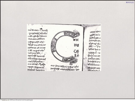 Vorderseite von bh549918_recto