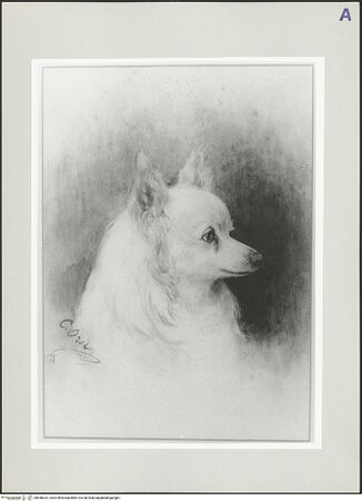 Vorderseite von bh550022_recto