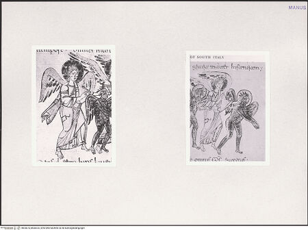 Vorderseite von bh550376_bh600324_recto