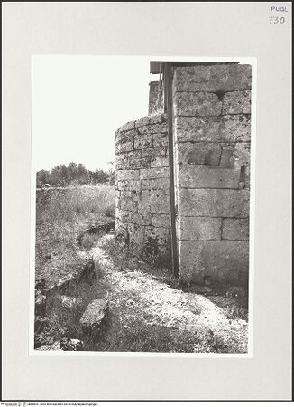 Vorderseite von bh550441_recto