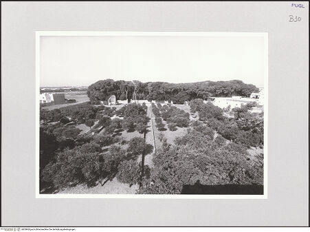 Vorderseite von bh550463_recto