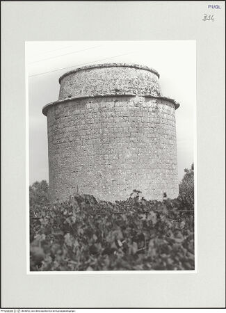 Vorderseite von bh550492_recto