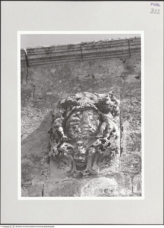 Vorderseite von bh550509_recto