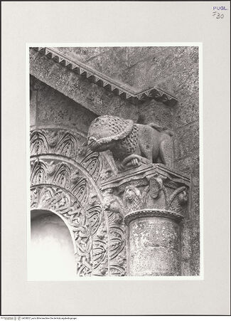 Vorderseite von Sigismondi, Roberto [http://creativecommons.org/licenses/by-nc-sa/4.0/] HauptportalKapitelle und Tiere - Rechtes Kapitell mit Löwe, bh550527_recto. Foto: Sigismondi, Roberto.