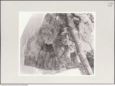 Vorderseite von bh550582_recto