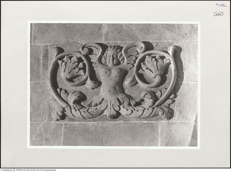 Vorderseite von bh550692_recto