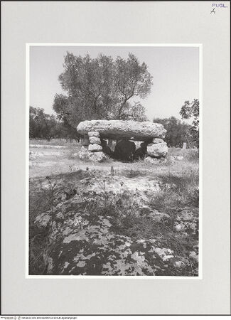 Vorderseite von bh550830_recto