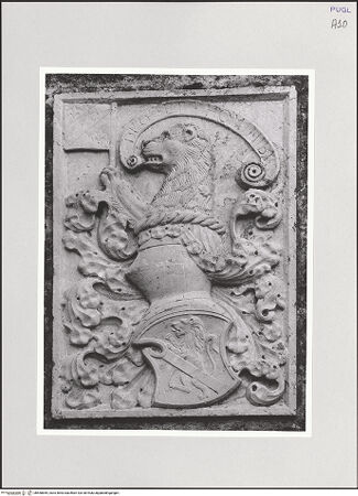 Vorderseite von bh550855_recto