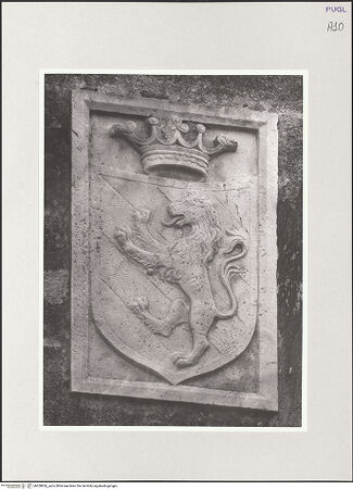 Vorderseite von bh550856_recto