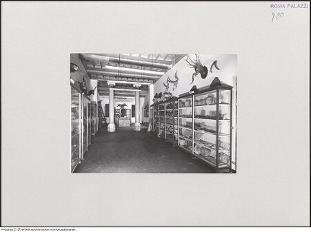 Vorderseite von bh550990_recto