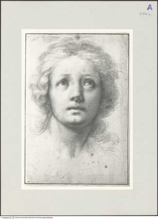 Vorderseite von bh551024_recto