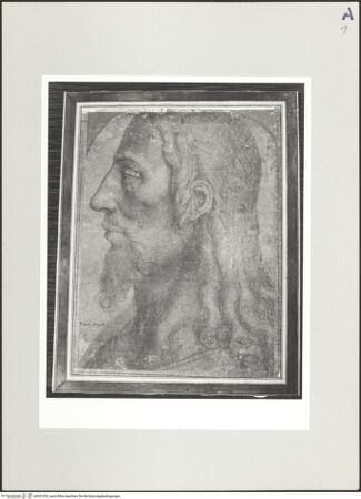 Vorderseite von Bibliotheca Hertziana [https://www.deutsche-digitale-bibliothek.de/content/lizenzen/rv-fz/] Christuskopf im Halbprofil, nach links - , bh551033_recto. Foto.