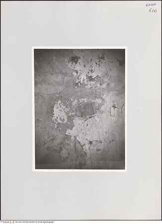 Vorderseite von Bibliotheca Hertziana [https://www.deutsche-digitale-bibliothek.de/content/lizenzen/rv-fz/] WanddekorationJüngstes Gericht (?) - Detail, oberes Register: Kopf eines Heiligen, bh551485_recto. Foto.