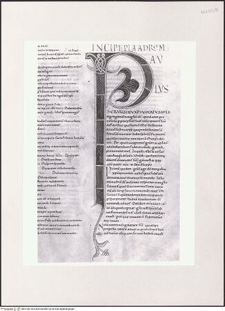 Vorderseite von bh551486_recto