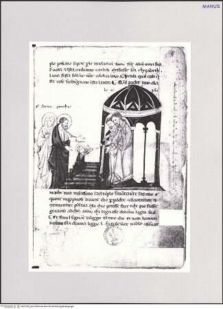 Vorderseite von bh551655_recto