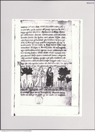 Vorderseite von bh551665_recto