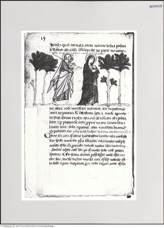 Vorderseite von bh551670_recto