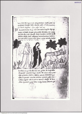 Vorderseite von bh551674_recto