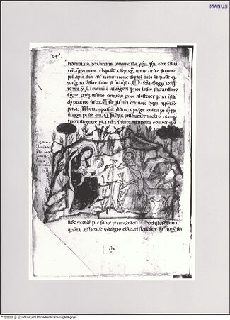 Vorderseite von bh551682_recto