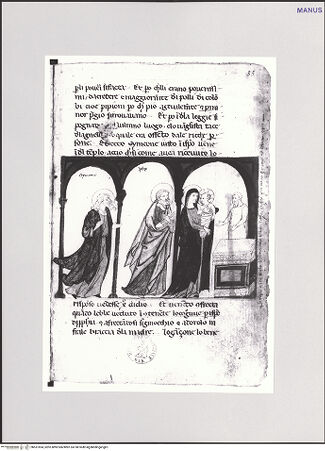 Vorderseite von bh551694_recto