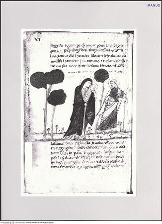 Vorderseite von bh551703_recto