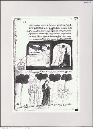 Vorderseite von bh551716_recto