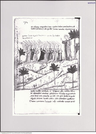 Vorderseite von bh551744_recto