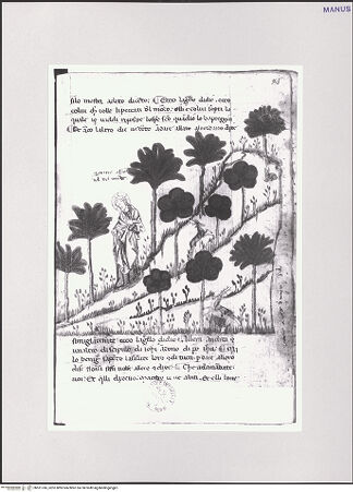 Vorderseite von bh551745_recto