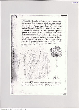 Vorderseite von bh551754_recto