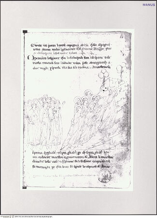 Vorderseite von bh551763_recto