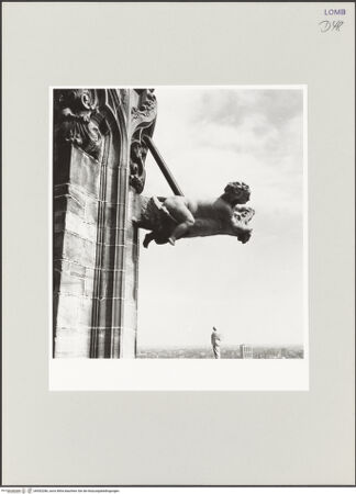 Vorderseite von bh552286_recto