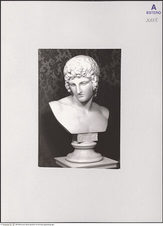 Vorderseite von bh552664_recto