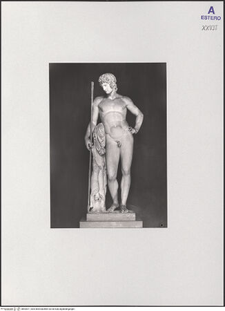 Vorderseite von bh552671_recto