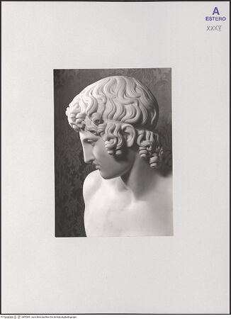 Vorderseite von bh552691_recto