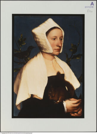 Vorderseite von bh552730_recto