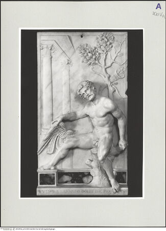 Vorderseite von bh552824_recto