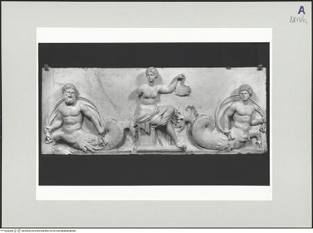 Vorderseite von bh552836_recto