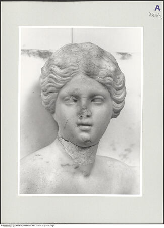 Vorderseite von bh552840_recto