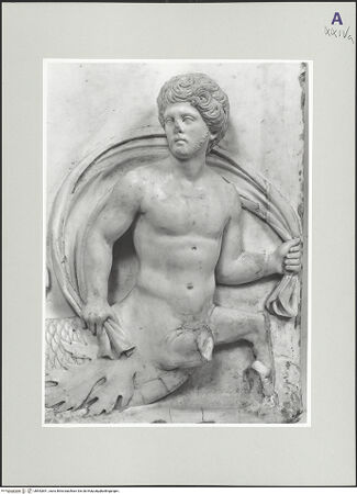 Vorderseite von bh552841_recto